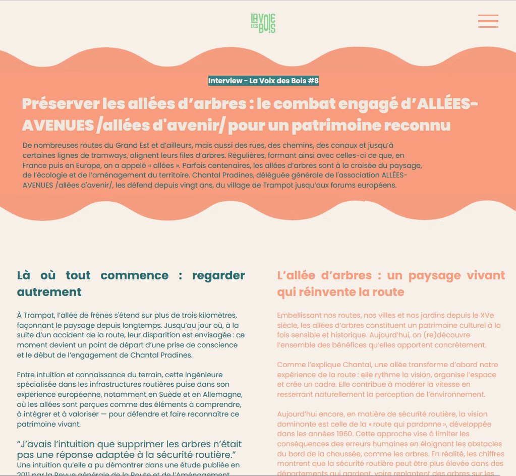 Capture décran La voie des bois AA