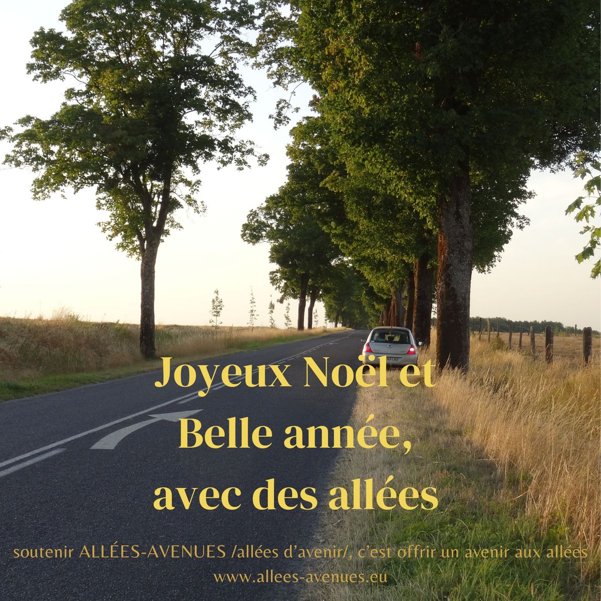 Voeux AA 2026 r