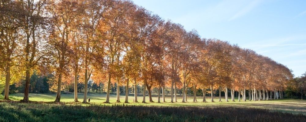 hl aberlioz 2023 11 19 hl aberlioz 2023 11 19