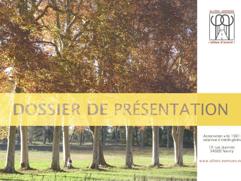 dossier presentation allees avenues page