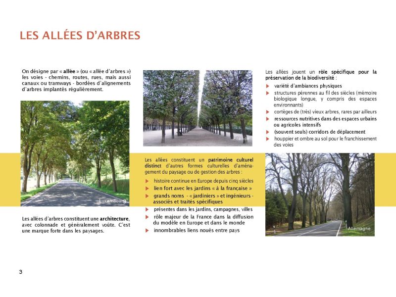 dossier presentation allees avenues page dossier presentation allees avenues page