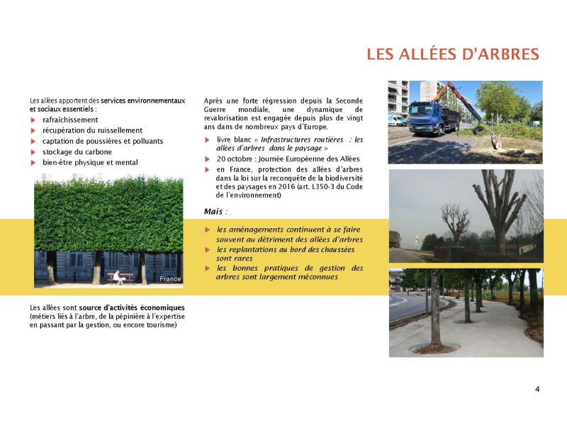 dossier presentation allees avenues page dossier presentation allees avenues page