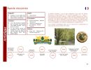 dossier presentation allees avenues page