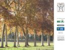 dossier presentation allees avenues page