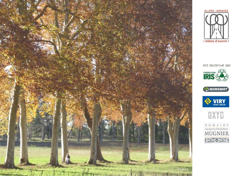 dossier presentation allees avenues page dossier presentation allees avenues page