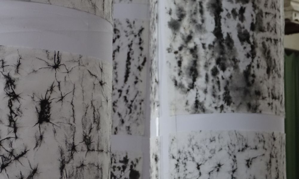 dsc09763 d dsc09763 d