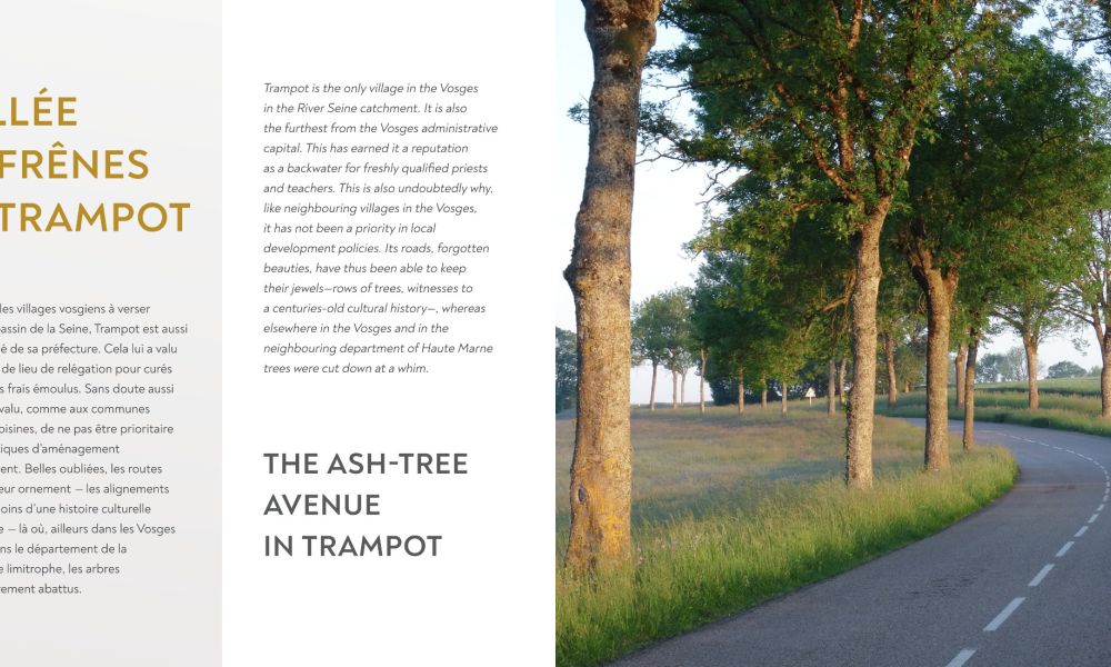 kinexpo   catalogue constance   v5   apercu page06 kinexpo   catalogue constance   v5   apercu page06