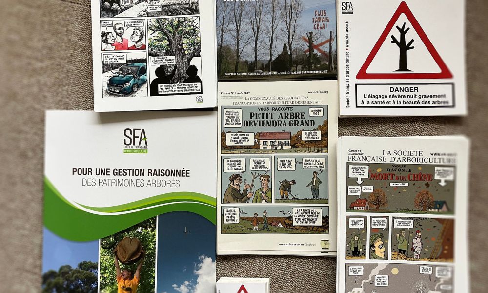 img floute img floute