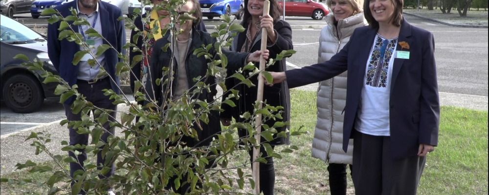 plantation plantation