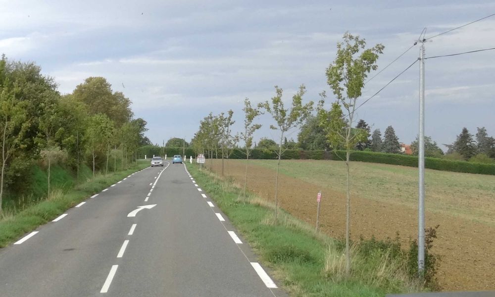 dsc06831 d dsc06831 d