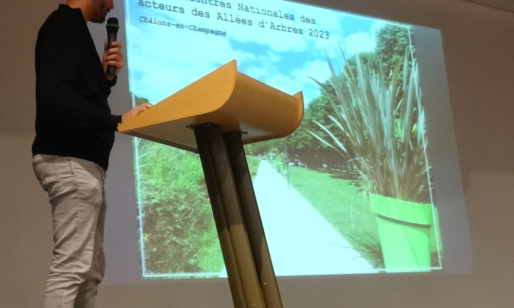 dsc08186 d dsc08186 d