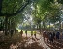 montgeron pelouse 20241024