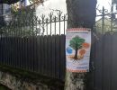 montgeron rue melanie vie arbre 20241024