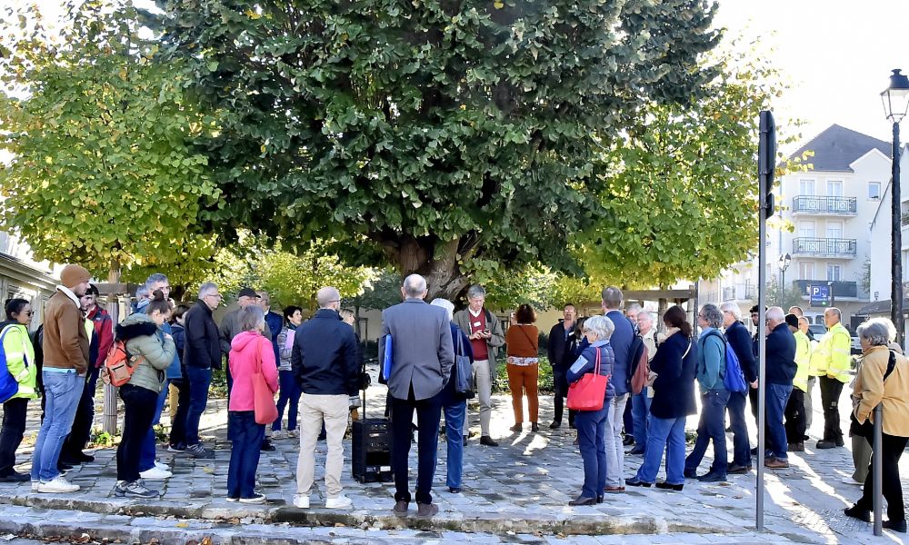 pelouse   environnement 24.10.2024  