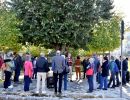 pelouse   environnement 24.10.2024  